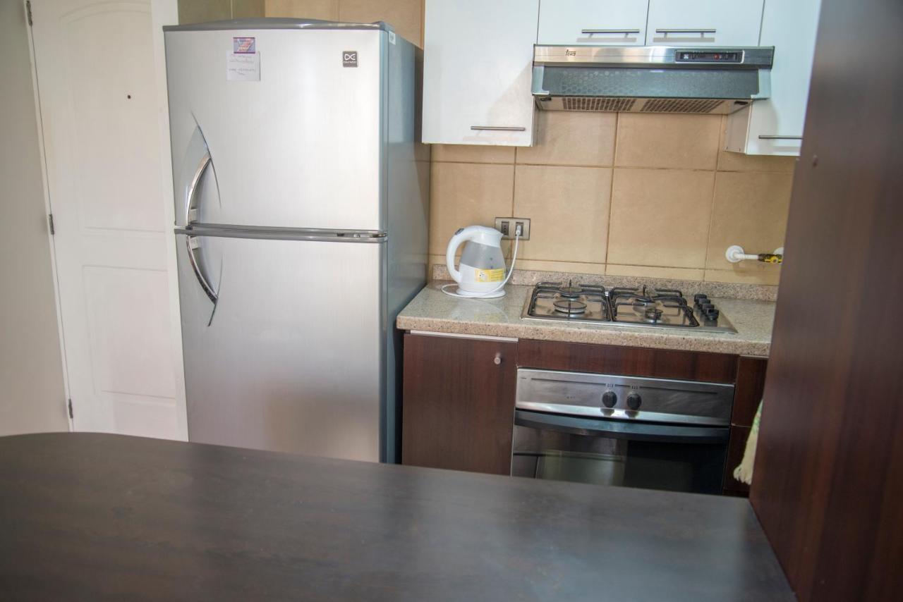 Bellavista Departamento Amoblado Appartamento Santiago del Cile Esterno foto